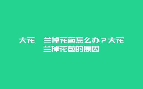 大花蕙兰掉花苞怎么办？大花蕙兰掉花苞的原因