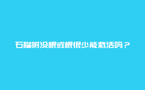 石榴树没根或根很少能栽活吗？