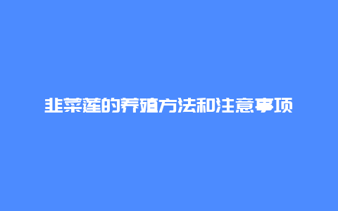 韭菜莲的养殖方法和注意事项