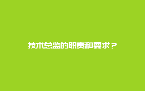 技术总监的职责和要求？