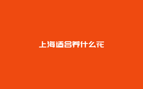 上海适合养什么花