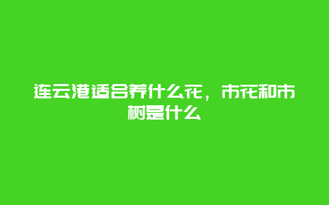 连云港适合养什么花，市花和市树是什么