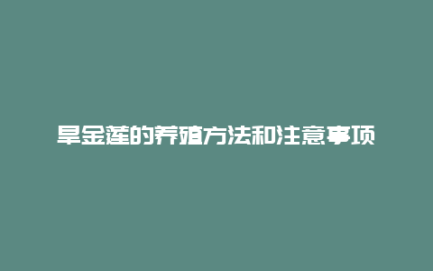 旱金莲的养殖方法和注意事项