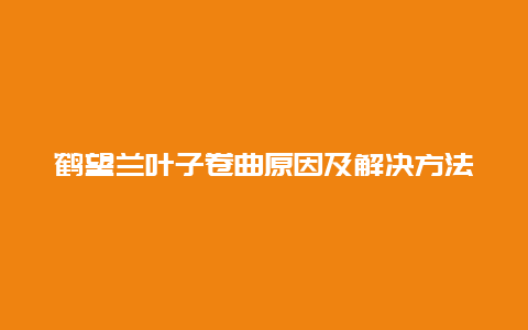 鹤望兰叶子卷曲原因及解决方法