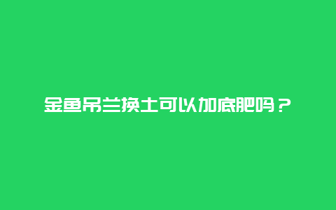 金鱼吊兰换土可以加底肥吗？