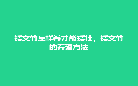 矮文竹怎样养才能矮壮，矮文竹的养殖方法