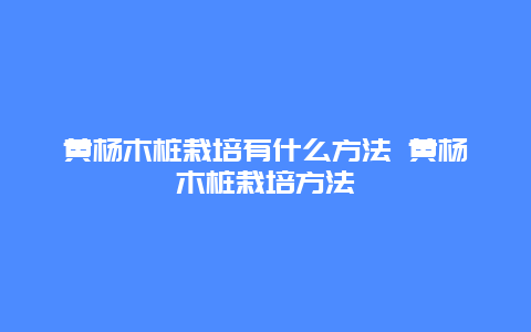 黄杨木桩栽培有什么方法 黄杨木桩栽培方法