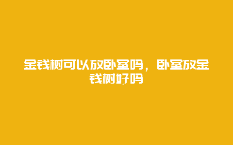 金钱树可以放卧室吗，卧室放金钱树好吗