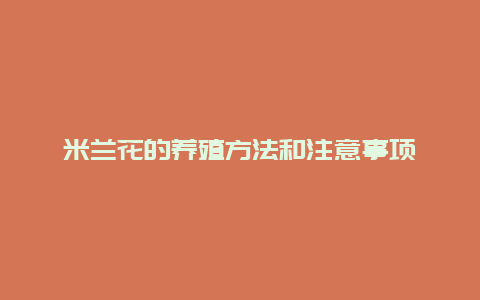 米兰花的养殖方法和注意事项