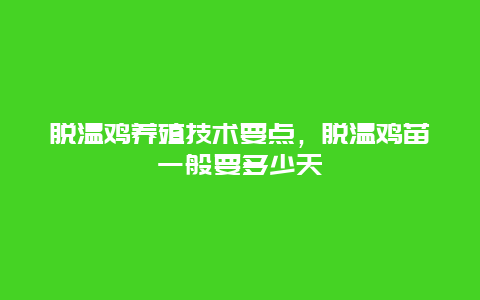 脱温鸡养殖技术要点，脱温鸡苗一般要多少天