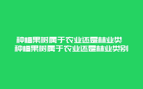 种植果树属于农业还是林业类 种植果树属于农业还是林业类别