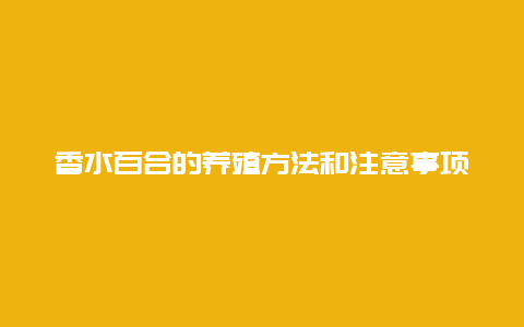 香水百合的养殖方法和注意事项