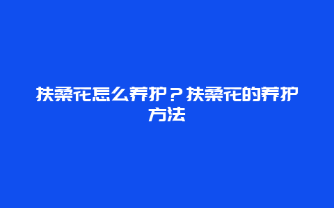 扶桑花怎么养护？扶桑花的养护方法