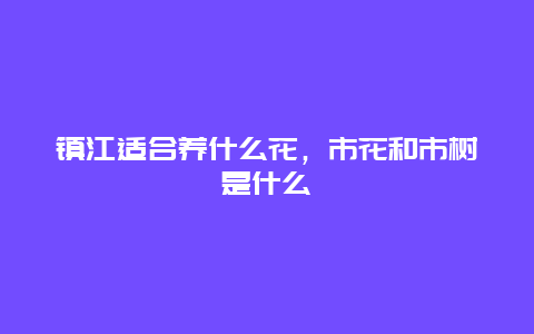 镇江适合养什么花，市花和市树是什么