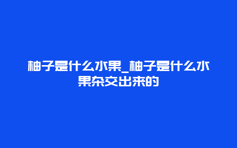 柚子是什么水果_柚子是什么水果杂交出来的