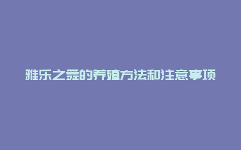 雅乐之舞的养殖方法和注意事项