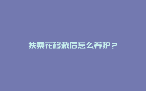 扶桑花移栽后怎么养护？