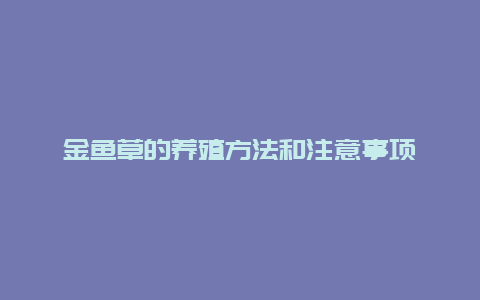 金鱼草的养殖方法和注意事项