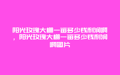 阳光玫瑰大棚一亩多少钱利润啊，阳光玫瑰大棚一亩多少钱利润啊图片