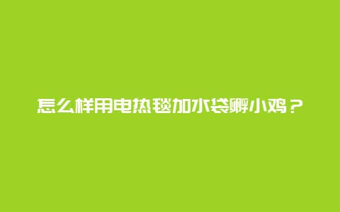 怎么样用电热毯加水袋孵小鸡？