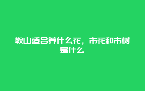 鞍山适合养什么花，市花和市树是什么