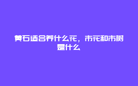 黄石适合养什么花，市花和市树是什么