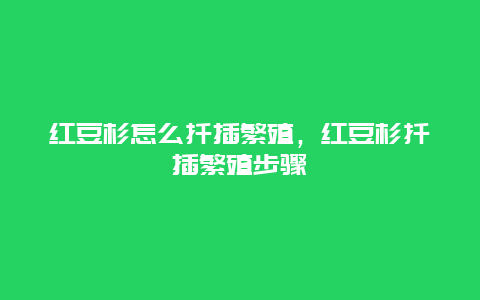 红豆杉怎么扦插繁殖，红豆杉扦插繁殖步骤