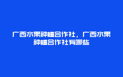 广西水果种植合作社，广西水果种植合作社有哪些