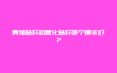 青储秸秆和氨化秸秆哪个喂羊好？