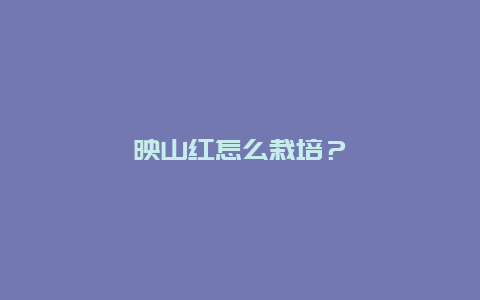 映山红怎么栽培？