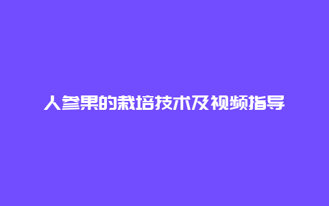 人参果的栽培技术及视频指导