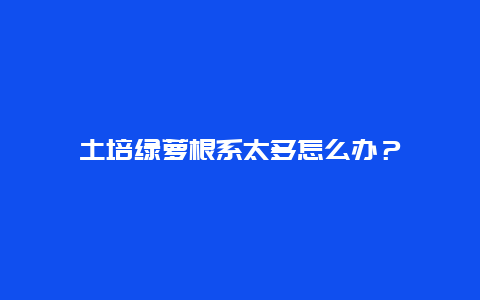 土培绿萝根系太多怎么办？