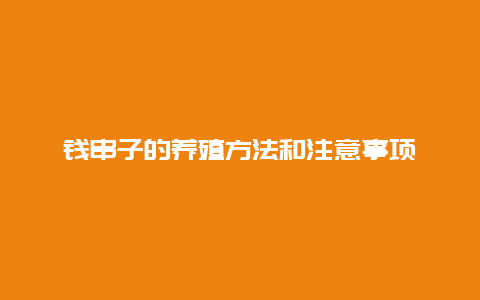 钱串子的养殖方法和注意事项