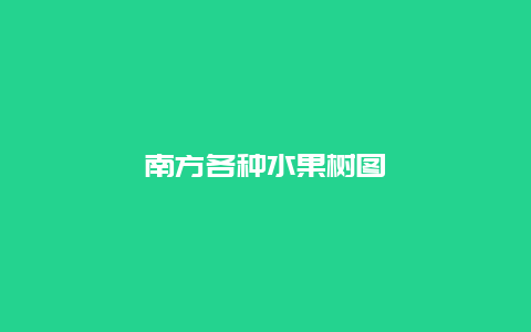 南方各种水果树图