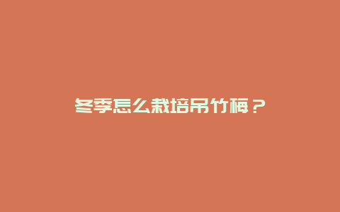 冬季怎么栽培吊竹梅？