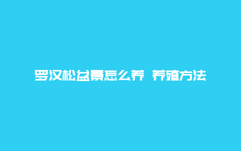 罗汉松盆景怎么养 养殖方法