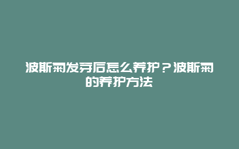 波斯菊发芽后怎么养护？波斯菊的养护方法