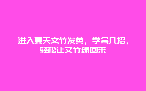 进入夏天文竹发黄，学会几招，轻松让文竹绿回来