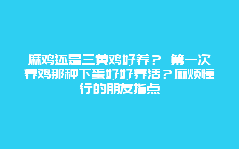 麻鸡还是三黄鸡好养？ 第一次养鸡那种下蛋好好养活？麻烦懂行的朋友指点