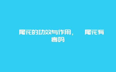 鸢尾花的功效与作用，鸢尾花有毒吗