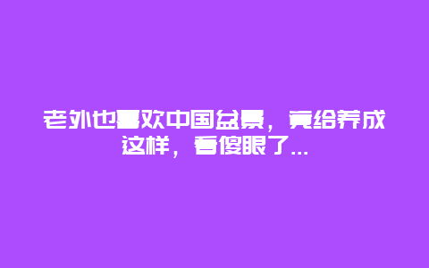 老外也喜欢中国盆景，竟给养成这样，看傻眼了...