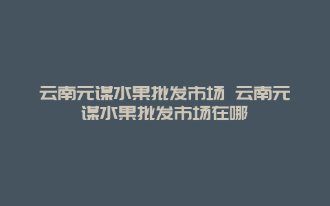 云南元谋水果批发市场 云南元谋水果批发市场在哪