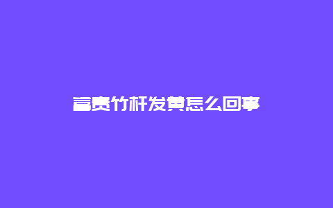 富贵竹杆发黄怎么回事