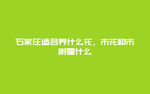 石家庄适合养什么花，市花和市树是什么