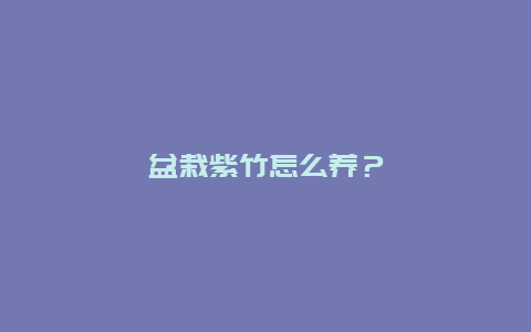 盆栽紫竹怎么养？