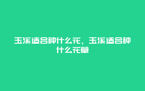 玉溪适合种什么花，玉溪适合种什么花草