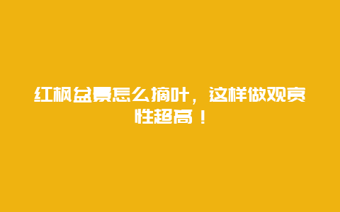 红枫盆景怎么摘叶，这样做观赏性超高！