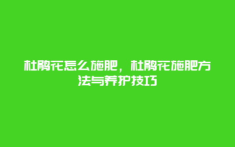 杜鹃花怎么施肥，杜鹃花施肥方法与养护技巧