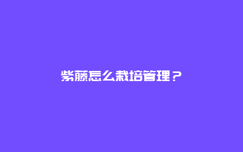 紫藤怎么栽培管理？