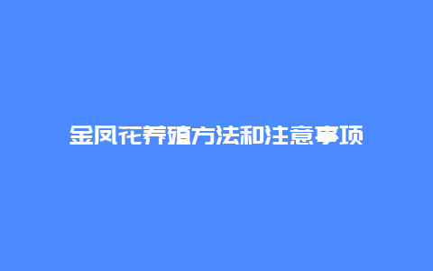 金凤花养殖方法和注意事项